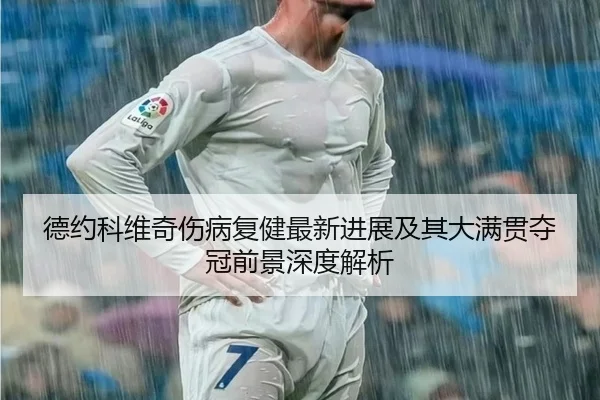 德约科维奇伤病复健最新进展及其大满贯夺冠前景深度解析 - LEDONG SPORTS